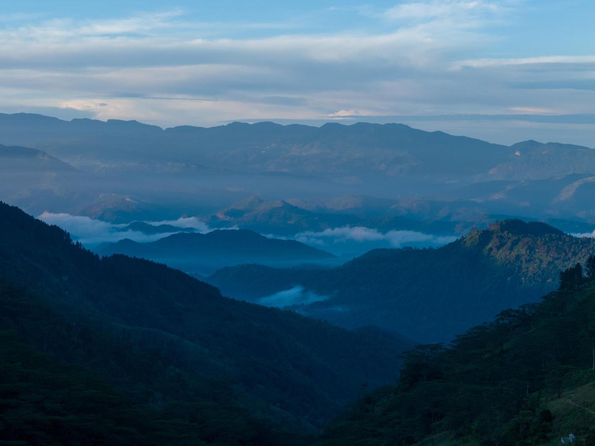 Ferndale Retreat Knuckles Hotel Rangala Ngoại thất bức ảnh